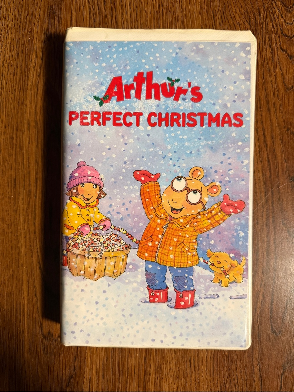 Arthur's Perfect Christmas Kids VHS (2000)